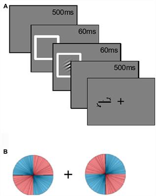 Orientation Probability and Spatial Exogenous Cuing Improve Perceptual Precision and Response Speed by Different Mechanisms